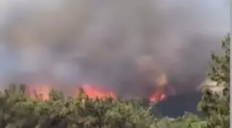 İzmir'de Orman Yangını: Havadan ve Karadan Müdahale Devam Ediyor