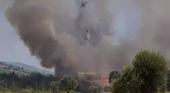 İzmir yangını kontrol altına alındı mı? İzmir Seferihisar yangınında son gelişmeler!