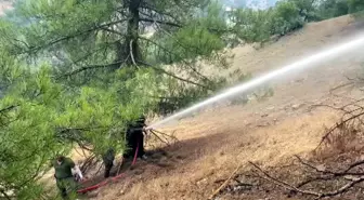 Kahramanmaraş'taki Orman Yangını 3. Gününde