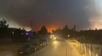 Karabük'te Orman Yangınları Devam Ediyor, Bazı Mahalleler Tahliye Edildi