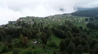 Trabzon'un Hıdırnebi Yaylası, Sıcak Havalardan Kaçış Noktası Oldu