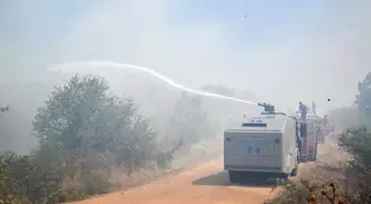 Kırklareli'nde Tarla Yangını Ormana Sıçradı, Hızla Kontrol Altına Alındı