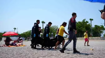 Antalya Konyaaltı Sahili'nde Cansız Beden Bulundu