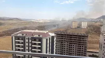 Mardin Artuklu'da Otluk Alanında Yangın Çıktı