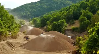 Muş Dağlarında Mangal Kömürü Üretimi Ekonomiyi Canlandırıyor