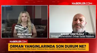 Orman Mühendisleri Odası Genel Başkanı Türkyılmaz: Yangın pandemisi dönemi yaşıyoruz
