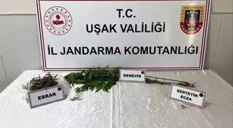Uşak'ta Uyuşturucu Operasyonu: 1 Gözaltı