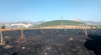 Eğirdir'de Karga Yangın Çıkardı: 2 Dönüm Alan Zarar Gördü