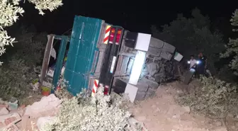 Bursa'da Biber Yüklü Kamyon Zeytinliğe Uçtu, Sürücü Yaralandı