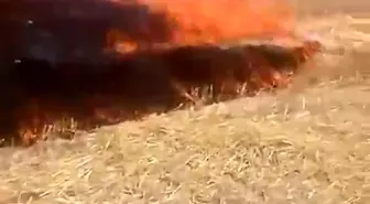 Beypazarı'nda Anız Yangını: Elektrik Kontağı Sebep Oldu