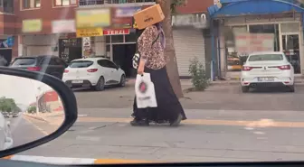 Tunceli'de Sıcak Havalardan Korunma Yöntemi: Karton Kutu