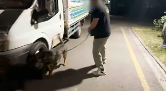 Batman'da Kamyonette 4.5 Kilo Esrar Ele Geçirildi