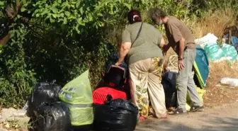 Kepez'de Sağlıksız Hayvan Besleme Skandalı: 5 Hasta Kedi Bulundu