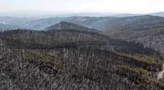 Bursa'da acı tablo! Yangının bıraktığı tahribat havadan görüntülendi
