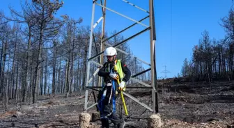 Yangın Bölgesindeki Enerji Hatlarının Onarımına Başlandı