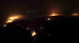 Bursa'da Orman Yangını 4. Gününde Etkisini Kaybetti