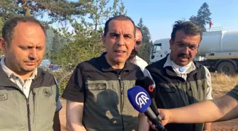 Çankırı'daki Orman Yangını Kontrol Altına Alındı