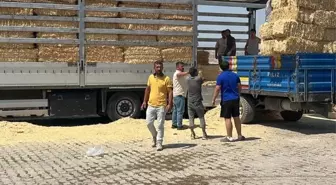 Çankırı'nın Yüzü Su Gibi: Çiftçiler Yangınzedelere Yardım Gönderdi