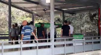 Adana'da Aile İçi Cinayet: Anne ve Kız Toprağa Verildi