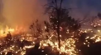 Diyarbakır Lice'de Kırsalda Yangınlar Söndürüldü