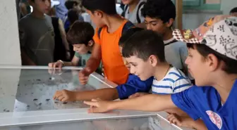 Düzce Gençlik Merkezi Yaz Kulübü Öğrencileri, Düzce Üniversitesi'ni Ziyaret Etti