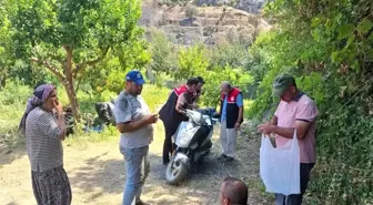 Gazipaşa'da Orman Yangını Tarımsal Zarar Verdi