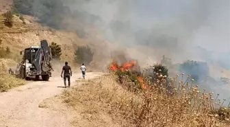 Manisa'da Zirai Alan Yangınına Hızla Müdahale Ediliyor