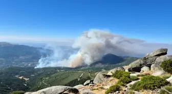 İspanya'nın Castile ve Leon Bölgesinde Üç Orman Yangını