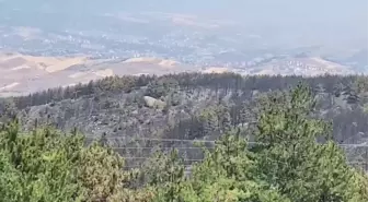 Karabük'teki Orman Yangını Kontrol Altına Alındı