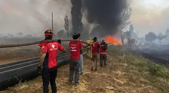 MEB AKUB Ekipleri Orman Yangınlarında Aktif Rol Aldı