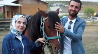 Muş'ta Geleneksel Atlı Sporlarla Gençler Bir Araya Geldi