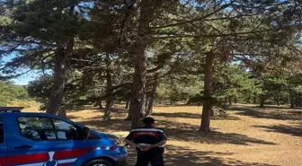 Sakarya'da Orman Yangınlarına Karşı Yeni Yasaklar