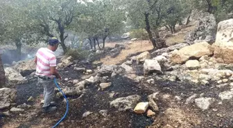 Siirt'te Orman Yangını Kontrol Altına Alındı
