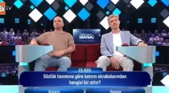 Sözlük tanımına göre katırın akrabalarından hangisi bir attır?