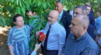 Zirai Don Olayı Araştırma Komisyonu Başkanı: '420 bin çiftçi etkilendi'