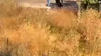 Ümraniye'de Silahlı Saldırı: Eski Sevgili Darp Edildi