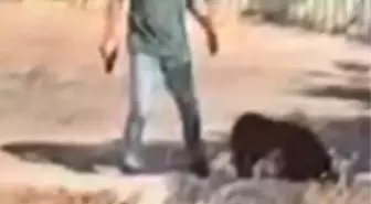Ümraniye'de Silahlı Saldırı: Kadına Sokak Ortasında Darbe