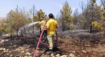 Amasya'da Orman Yangını: 3 Hektar Alan Zarar Gördü