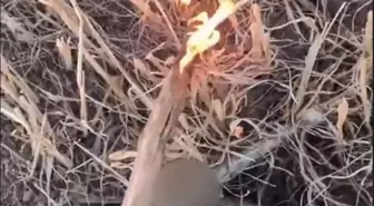 Anız Yakan Genç Gözaltına Alındı