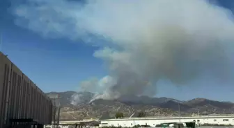 Aydın'da Zirai Alandan Ormana Sıçrayan Yangın Söndürülmeye Çalışılıyor