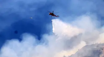 Aydın'da Orman Yangınına Hızla Müdahale Ediliyor