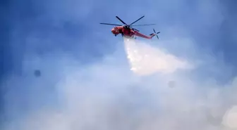 Aydın'da Zirai Alandan Ormana Sıçrayan Yangınla Mücadele Sürüyor