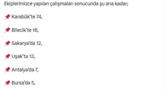 Bakan Kurum, Orman Yangınlarından Etkilenen Bölgelerde Hasar Tespiti Açıkladı