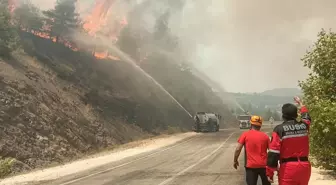 Bursa'da Orman Yangını Anları Kameralara Yansıdı