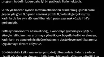 Türkiye'de İşsizlik Oranı Tek Haneli Seviyelerde İstikrarlı Seyrediyor