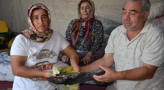 Antalya'da Yangın: Aile Tüm Birikimlerini Kaybetti