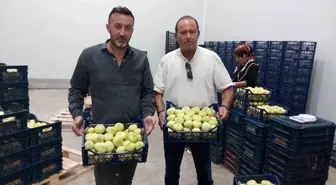 Mersin'in Mut İlçesi Beyaz İncir İhracatına Başladı