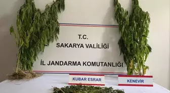 Sakarya'da Uyuşturucu Operasyonları: 1 Tutuklama