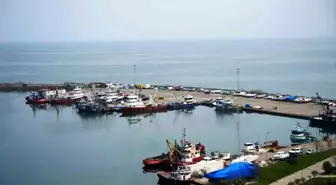Samsun'da 2025'te 65 Bin Ton Balık Üretimi Planlanıyor