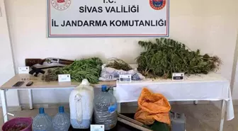 Sivas'ta Uyuşturucu Operasyonu: 500 Gram Esrar ve Kenevir Bitkileri Ele Geçirildi